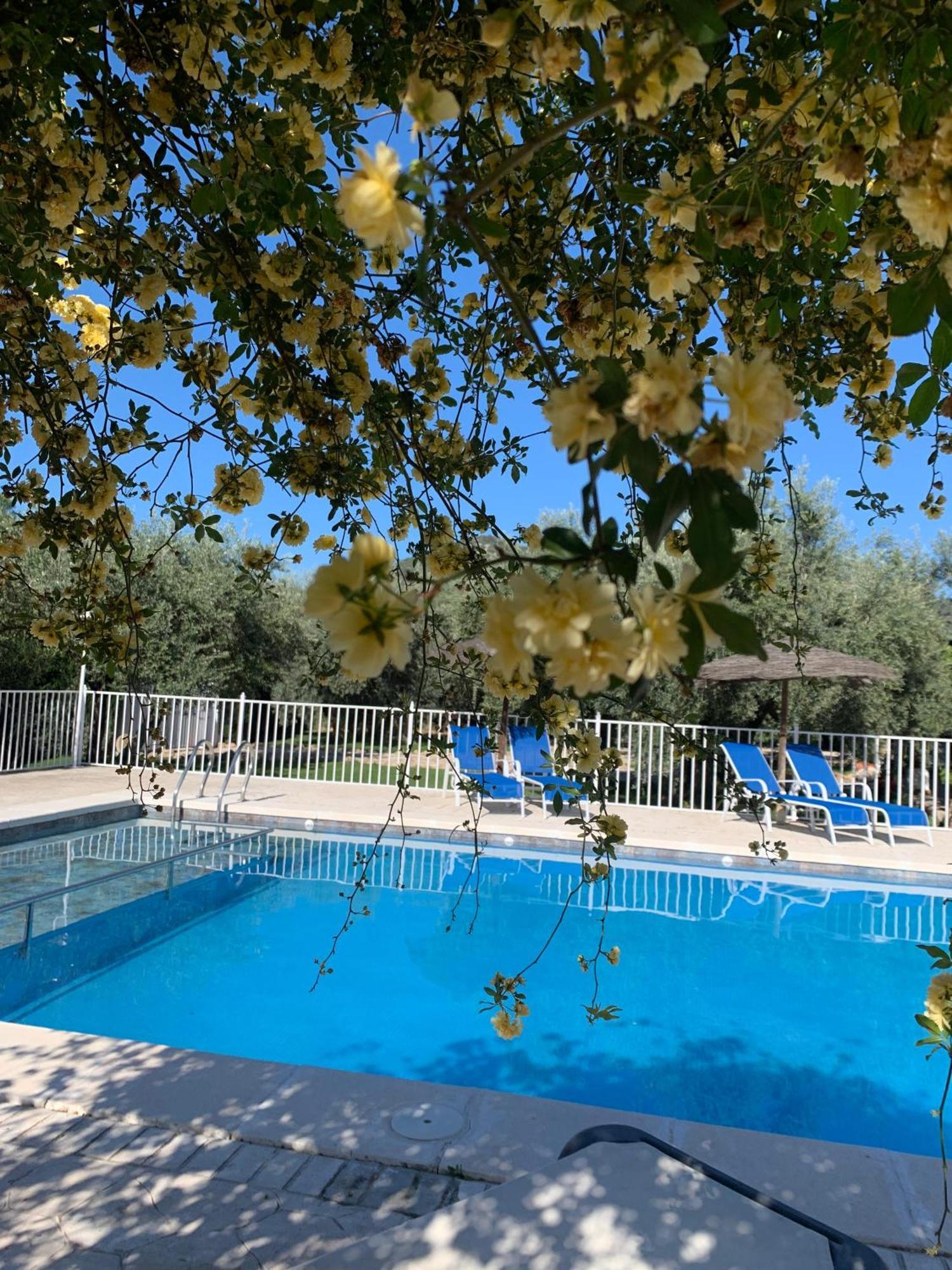Carcabuey Casa De La Noria 빌라 외부 사진